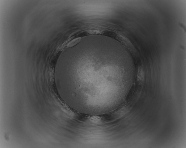 X0000101950409200807181455