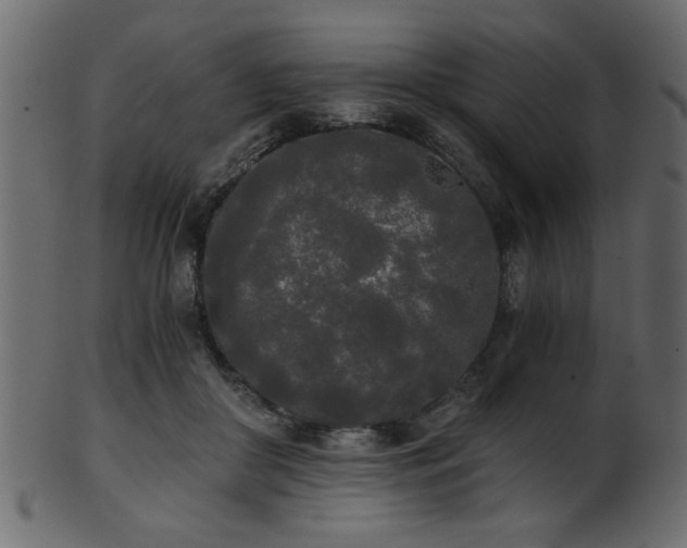 X0000101950410200807181455