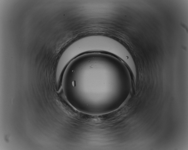 X0000101950411200807181455