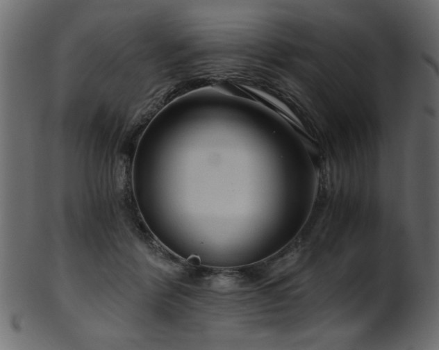 X0000101950412200807181455