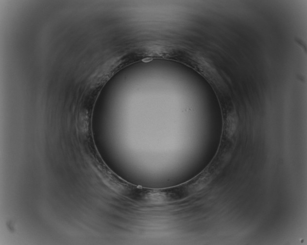 X0000101950413200807181455