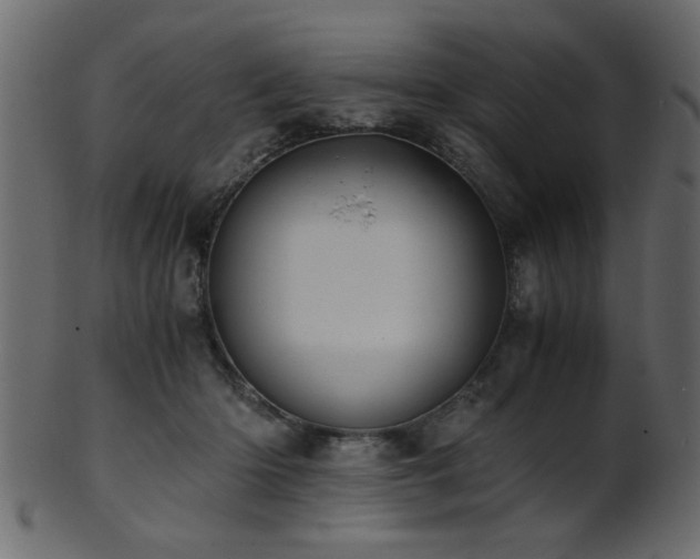 X0000101950414200807181455