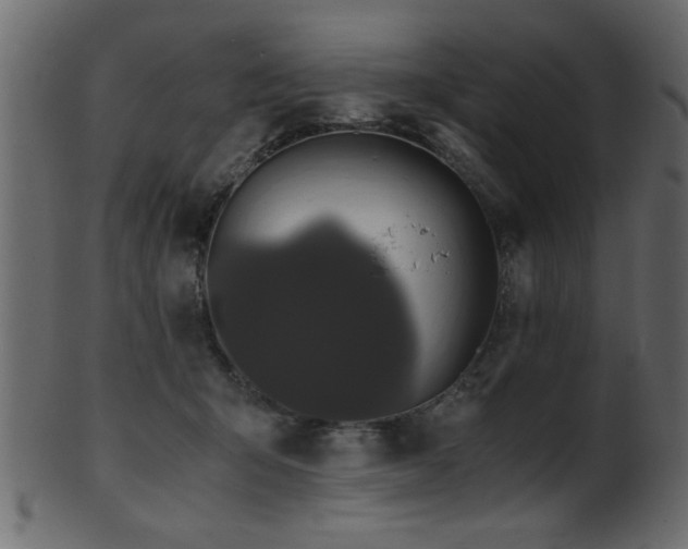 X0000101950415200807181455