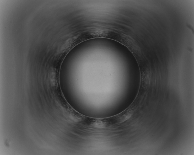 X0000101950416200807181455