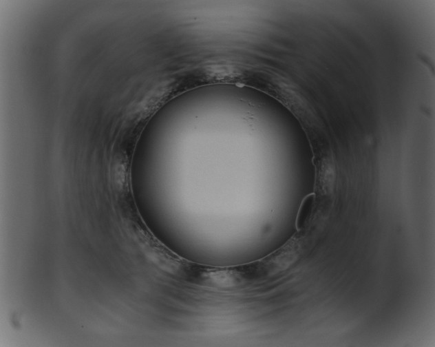 X0000101950417200807181455