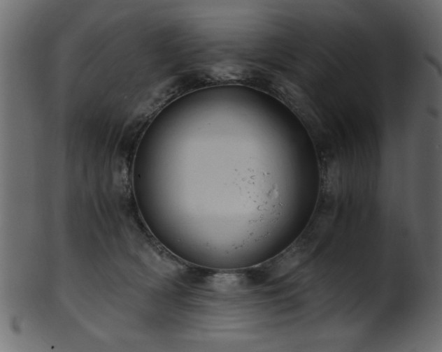 X0000101950418200807181455