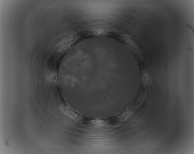 X0000101950419200807181455