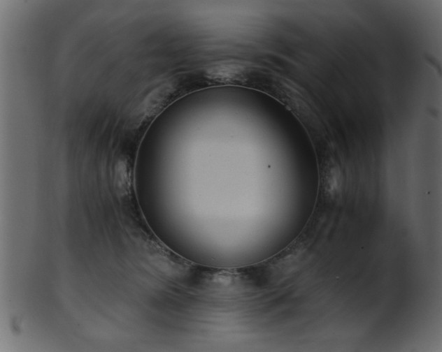 X0000101950420200807181455