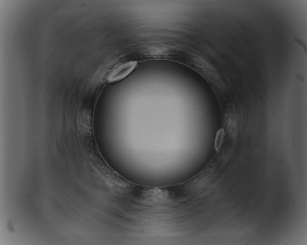 X0000101950421200807181454