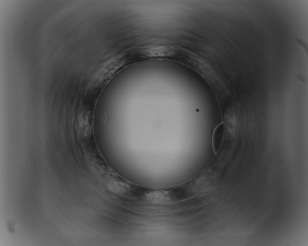 X0000101950422200807181454