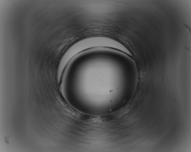 X0000101950423200807181454