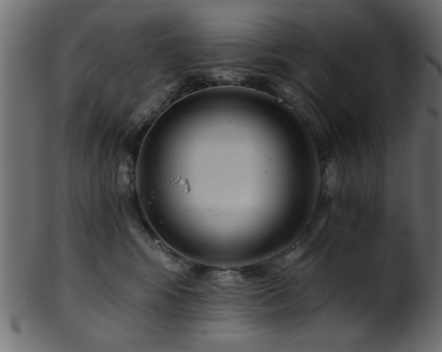 X0000101950424200807181454