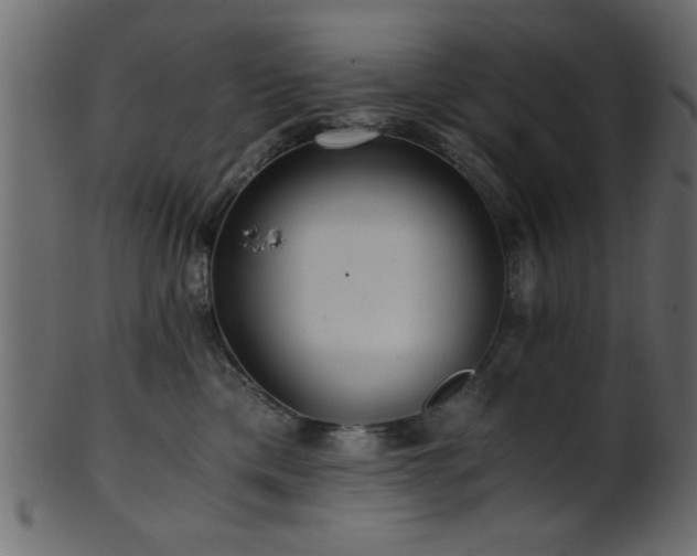 X0000101950425200807181454