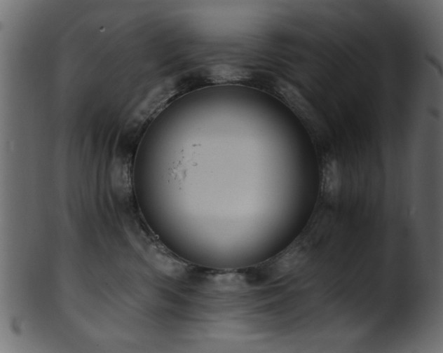 X0000101950426200807181454