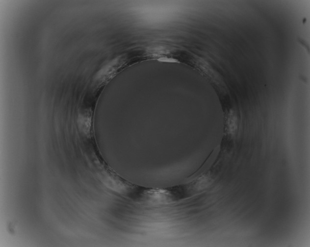 X0000101950427200807181454