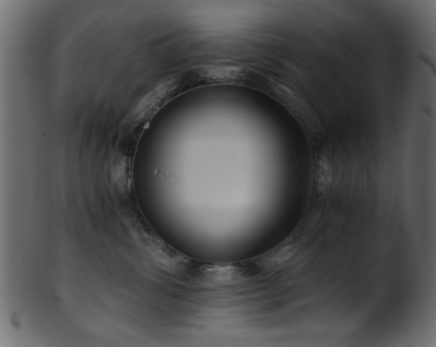 X0000101950428200807181454