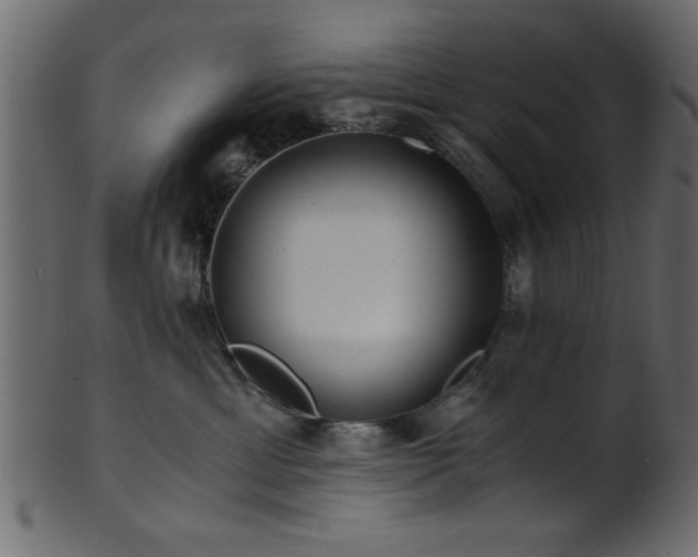 X0000101950429200807181454