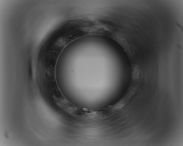 X0000101950430200807181454