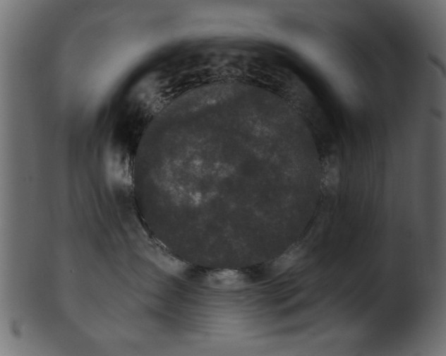 X0000101950431200807181454