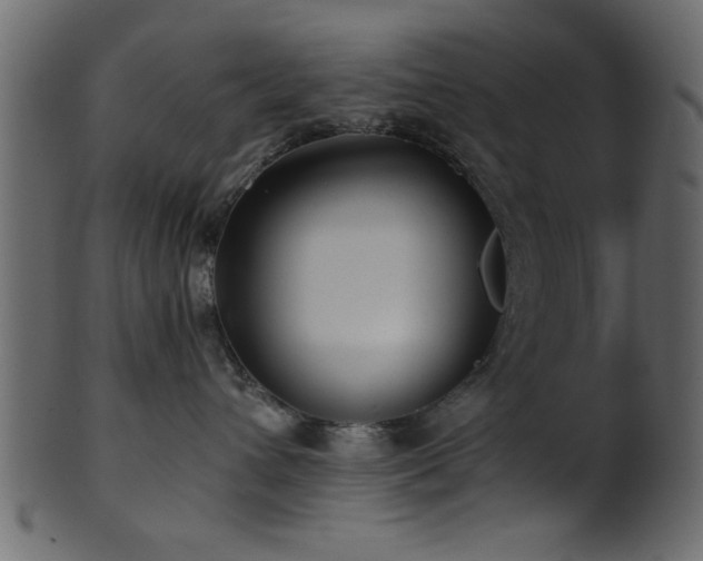 X0000101950432200807181454