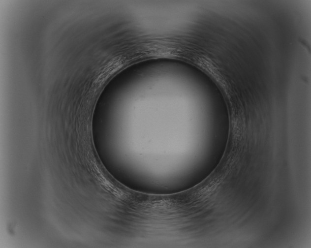 X0000101950433200807181454