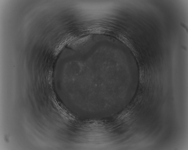 X0000101950434200807181454