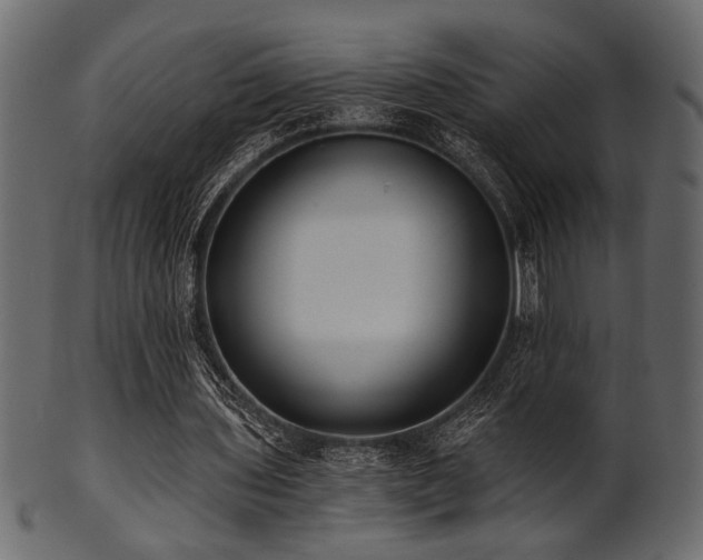 X0000101950435200807181454