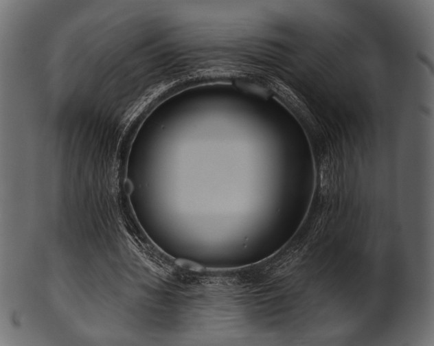 X0000101950436200807181454