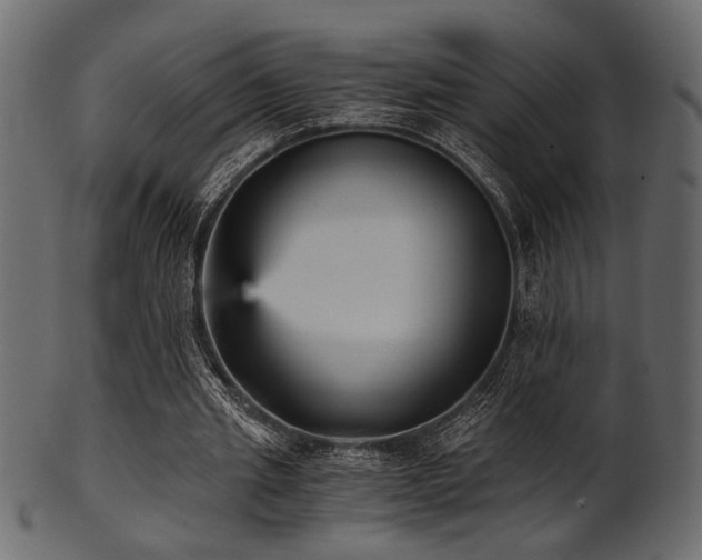 X0000101950437200807181454