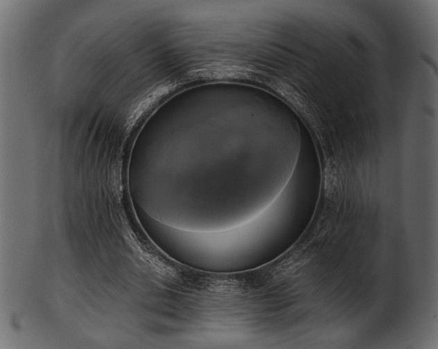 X0000101950438200807181454