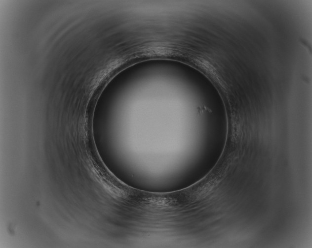 X0000101950439200807181454