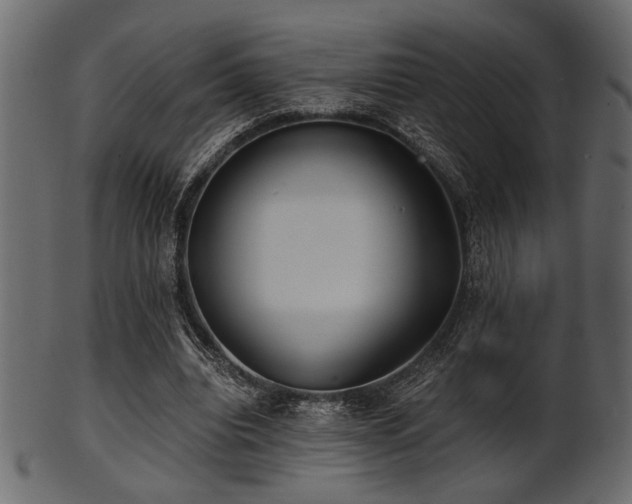 X0000101950440200807181454