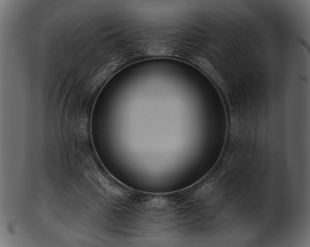 X0000101950441200807181454