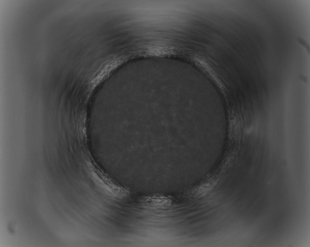 X0000101950443200807181454