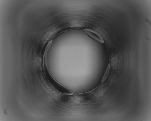 X0000101950444200807181454