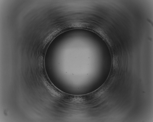 X0000101950445200807181454