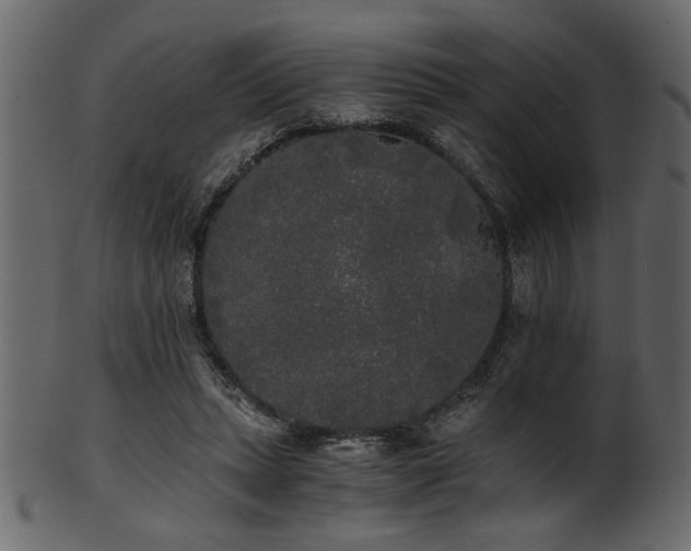 X0000101950447200807181454