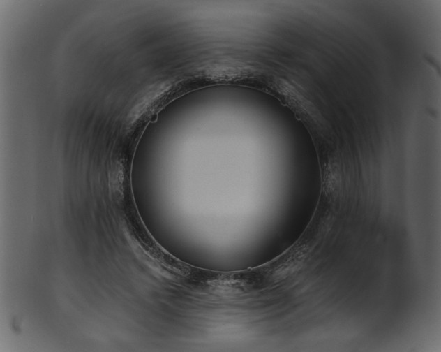 X0000101950448200807181454