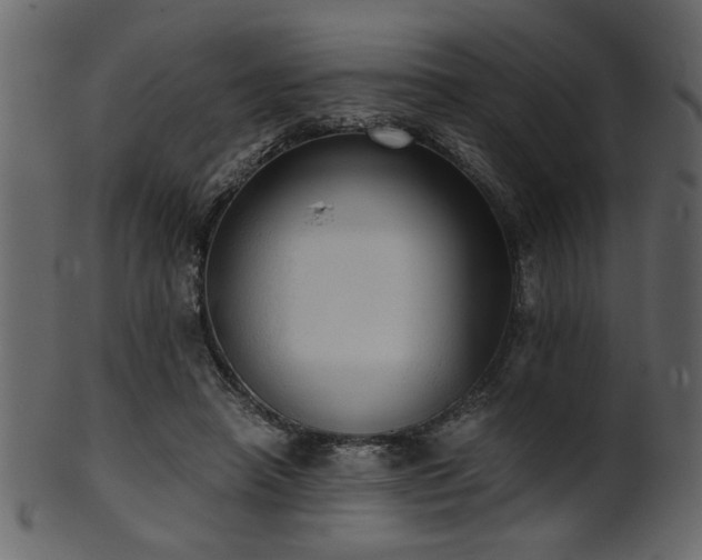 X0000101950450200807181454