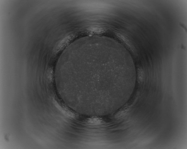 X0000101950451200807181454