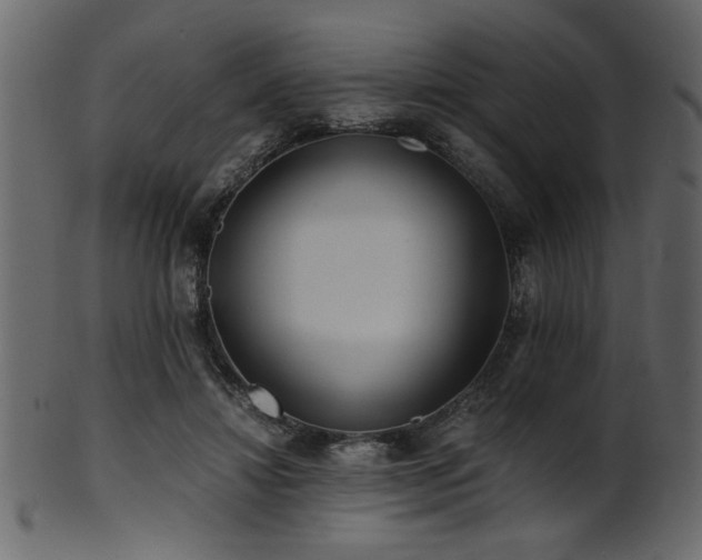 X0000101950452200807181454