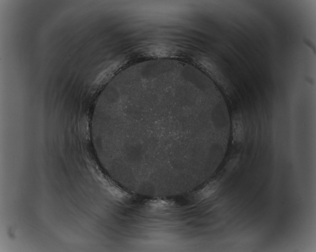 X0000101950453200807181454