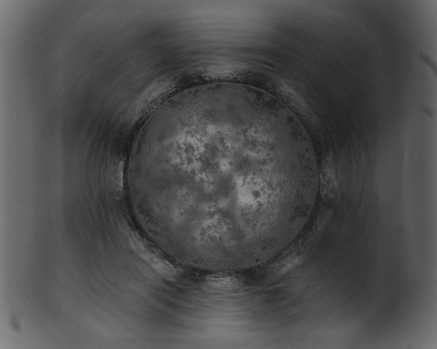 X0000101950454200807181454