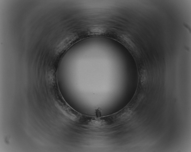 X0000101950455200807181454