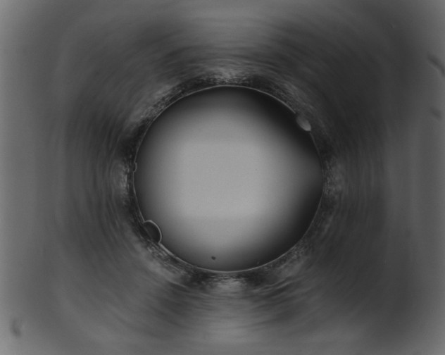 X0000101950456200807181454