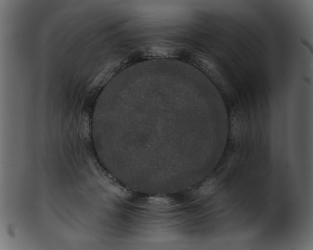 X0000101950457200807181454