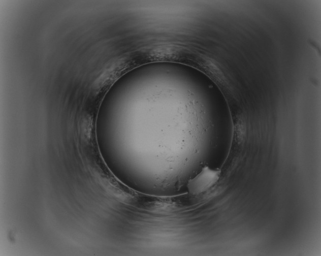 X0000101950458200807181454