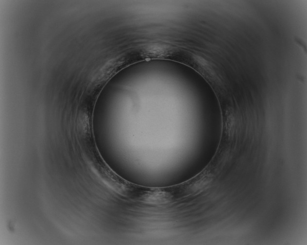 X0000101950459200807181454