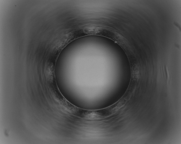 X0000101950460200807181454