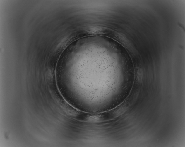 X0000101950461200807181454